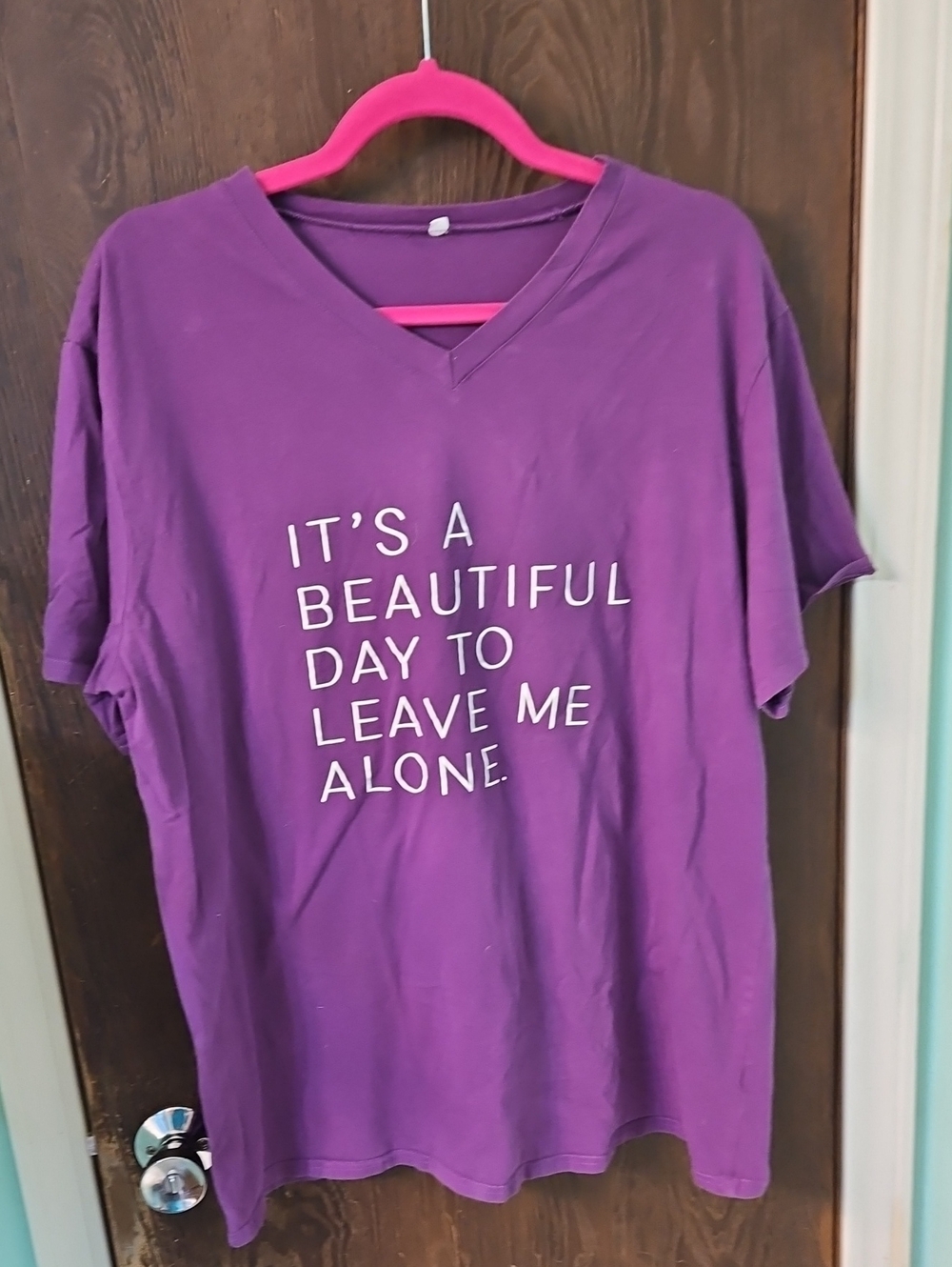 Women's Purple Graphic V-Neck Tee - It's A Beautiful Day To Leave Me Alone